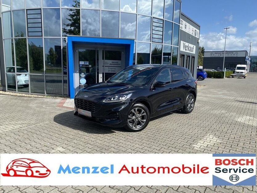 Kuga