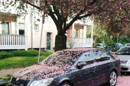 Skoda Octavia 167.000 km 7.000 &euro; Strausberg 15344