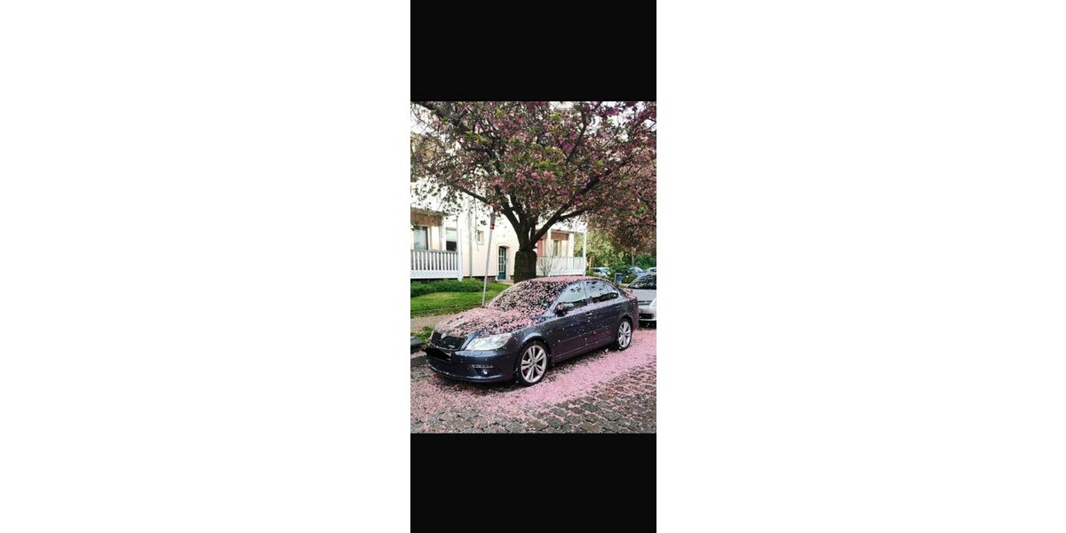 Skoda Octavia 167.000 km 7.000 &euro; Strausberg 15344