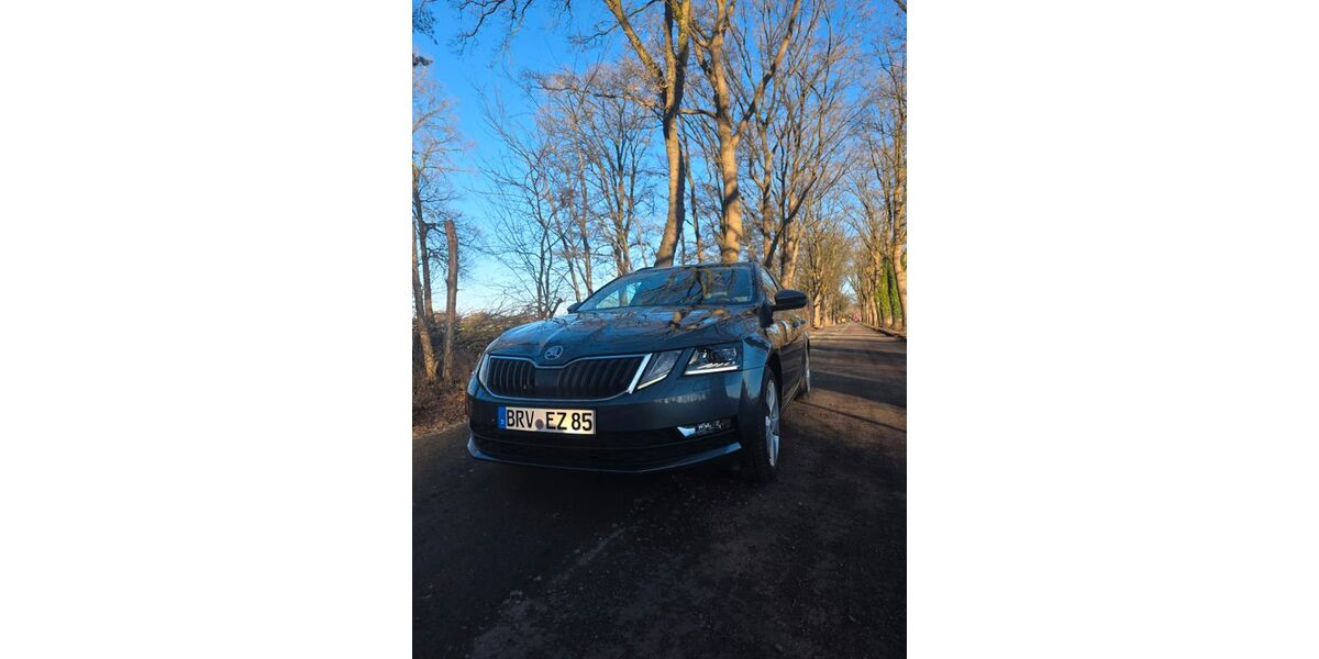Skoda Octavia 92.000 km 13.900 &euro; Scheeßel 27383
