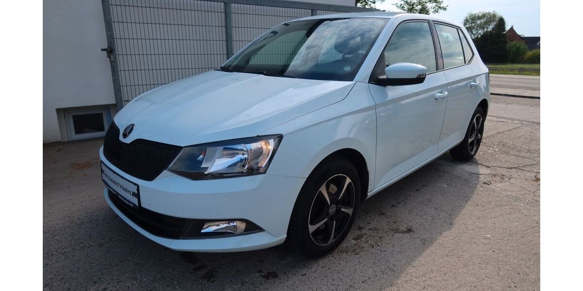 Skoda Fabia 76.134 km 6.999 &euro; Groß Oesingen 29393