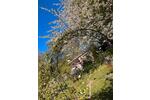 Bungalow Stralsund Langendorfer Berg - 2 Zimmer, 30 m&sup2;, 13.000&euro; | Angebot:26960559