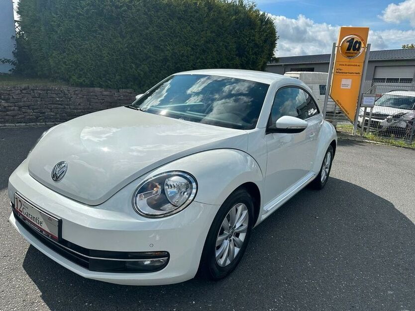 Beetle