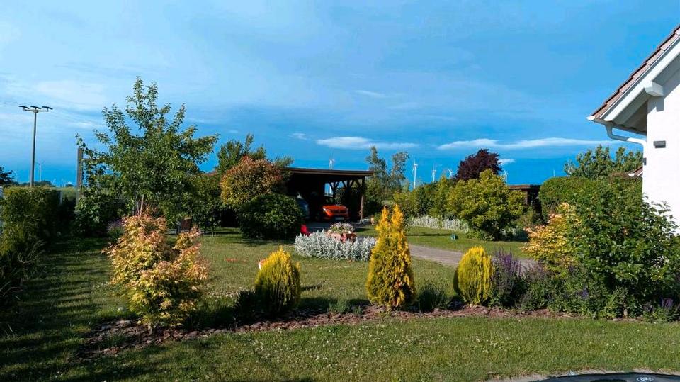 Doppelhaushälfte Prenzlau - 4 Zimmer, 130 m&sup2;, 260.000&euro; | Angebot:26913527