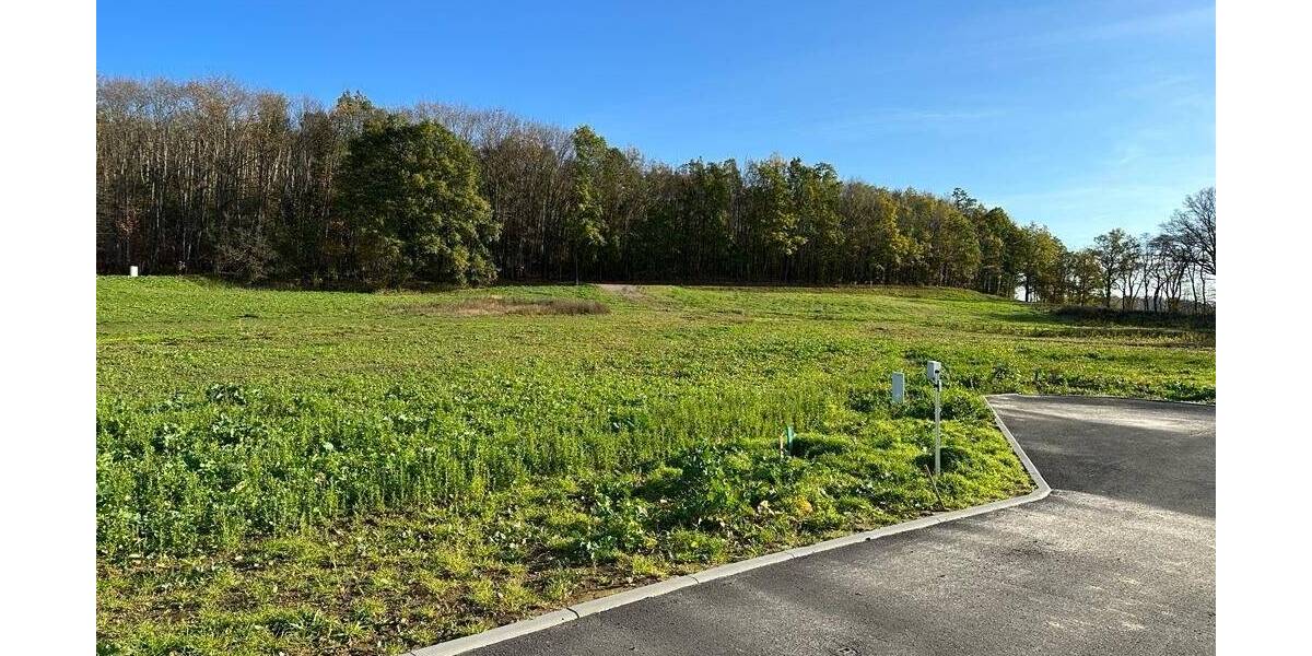 Grundstück Großweitzschen - 90.090&euro; | Angebot:25707434