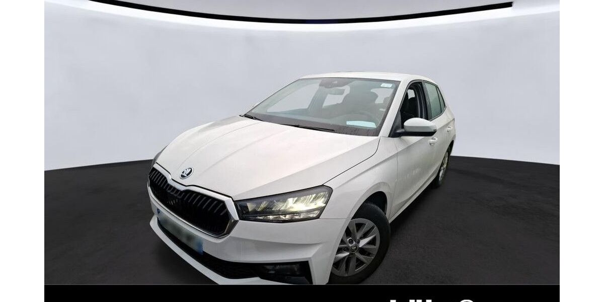 Skoda Fabia 40.227 km 14.980 &euro; Trier 54292