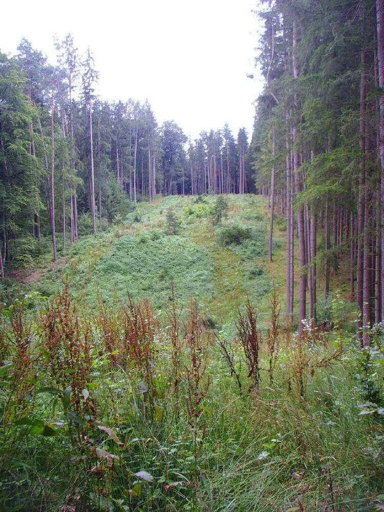Grundstück in Pfeffenhausen-Baldershausen 63.500 € 9780 m²