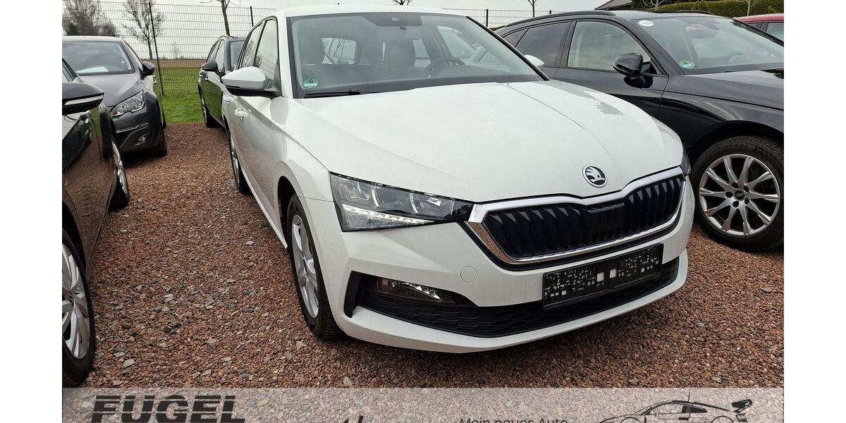 Skoda Scala 11.160 km 14.499 &euro; Chemnitz - Mittelbach 09224