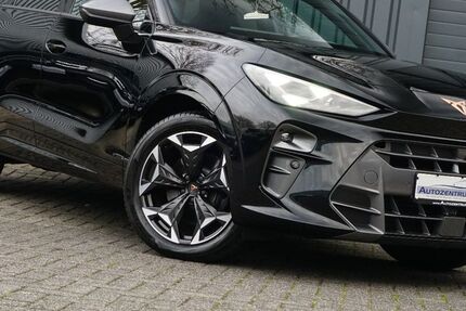 Cupra Terramar 13.535 km 39.444 &euro; Rheine 48432