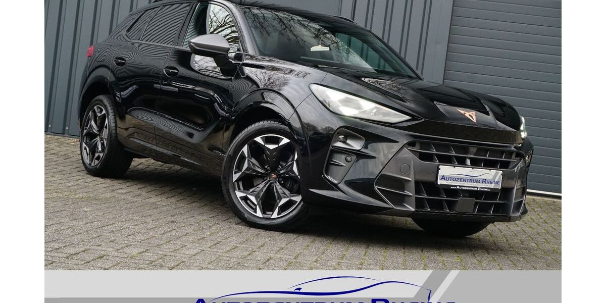 Cupra Terramar 13.535 km 39.444 &euro; Rheine 48432