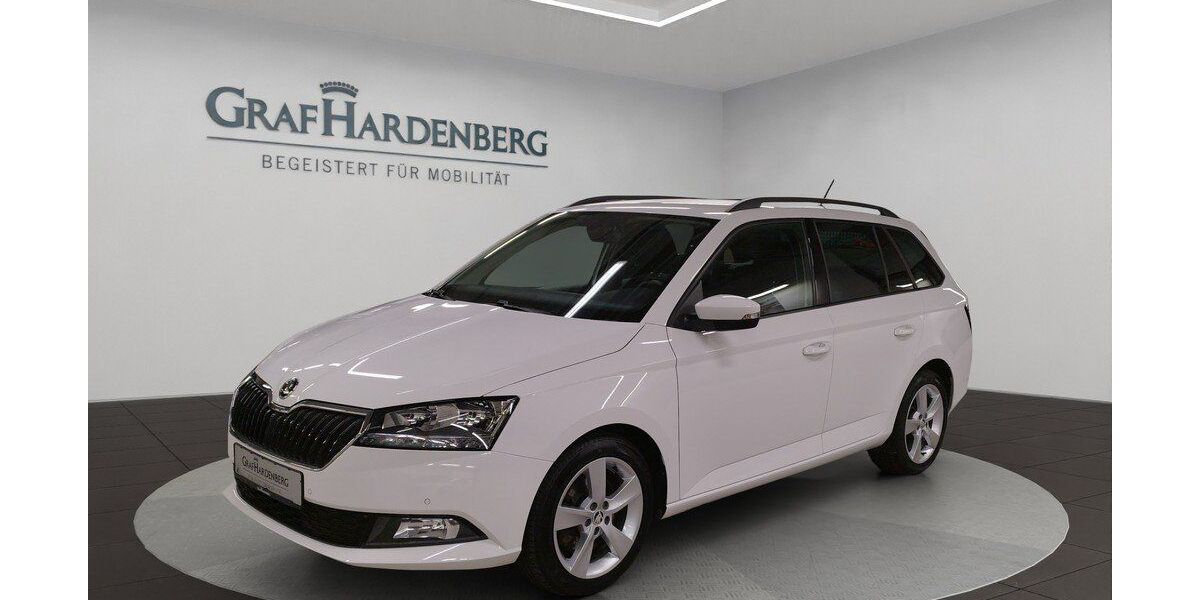 Skoda Fabia 45.700 km 17.460 &euro; Tuttlingen 78532