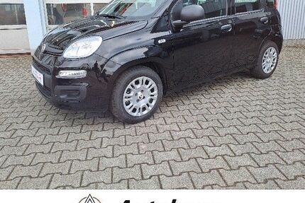 Fiat Panda 3.000 km 14.990 &euro; Erbach 64711