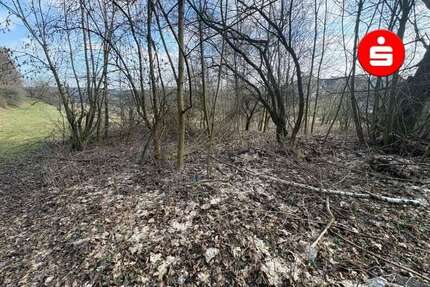 Grundstück Altdorf - 250.000&euro; | Angebot:25198976