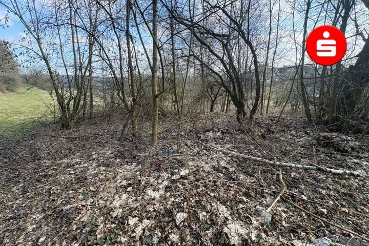 Grundstück Altdorf - 250.000&euro; | Angebot:25198976