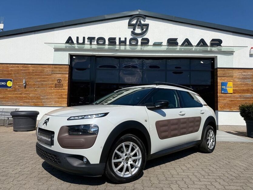 C4 Cactus