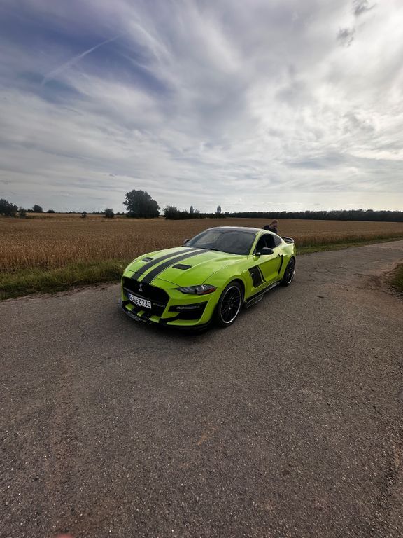 Ford Mustang 50.500 km 31.000 € Groß-Gerau 64521