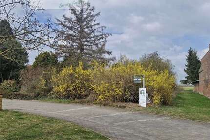 Grundstück Sandersdorf Heideloh - 25.000&euro; | Angebot:25382993