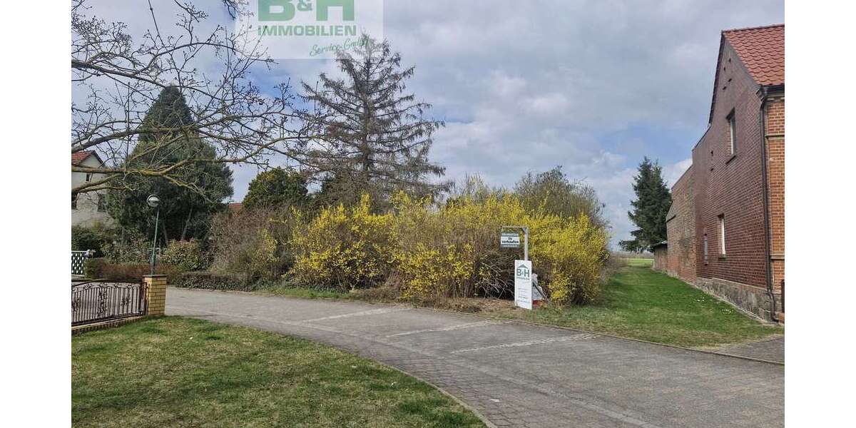 Grundstück Sandersdorf Heideloh - 25.000&euro; | Angebot:25382993