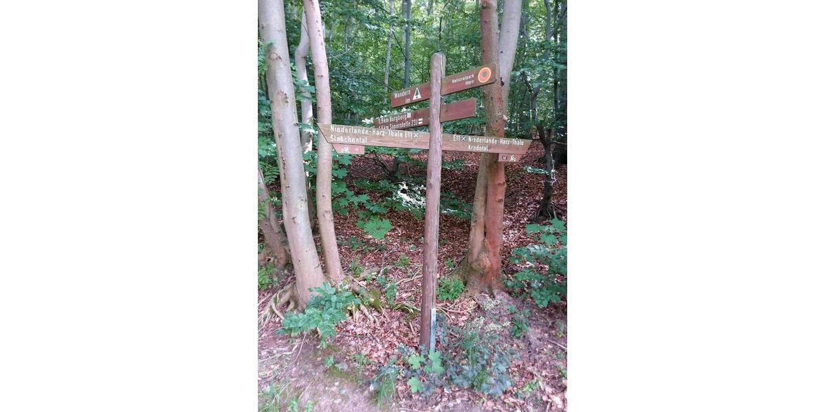 Hochparterre Bad Harzburg - 1 Zimmer, 42 m&sup2;, 57.500&euro; | Angebot:26337333