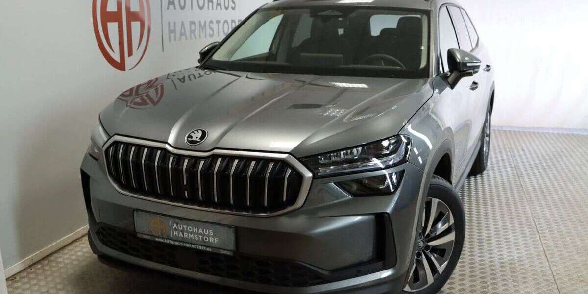 Skoda Kodiaq 1.080 km 39.890 &euro; Harmstorf 21228