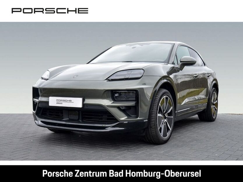 Macan