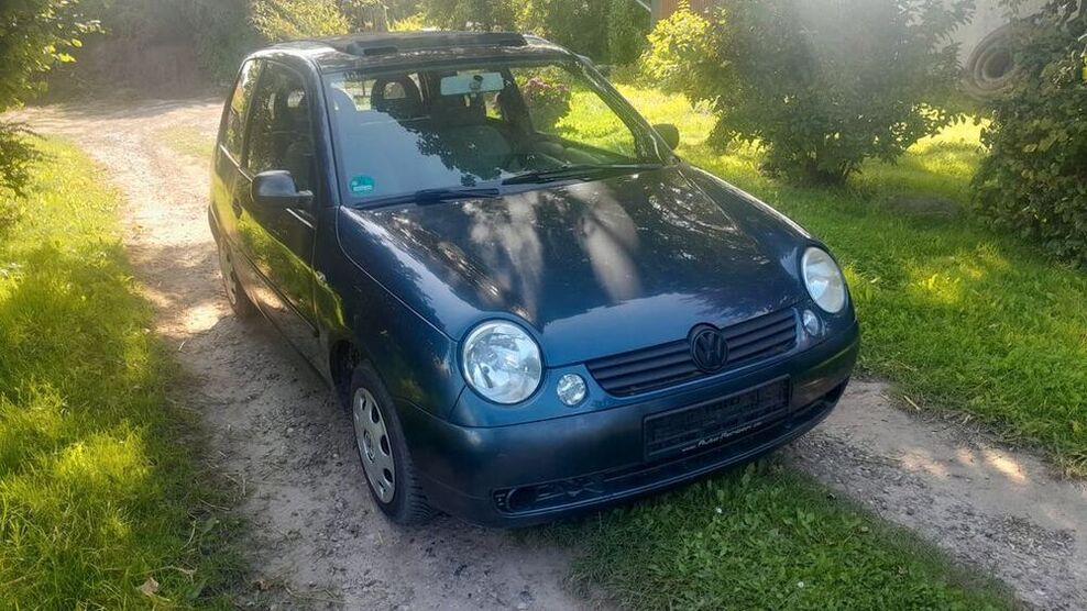Lupo