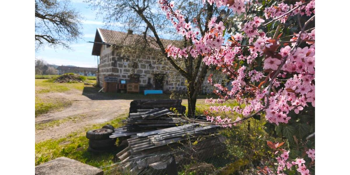Bauernhaus, Landhaus Burgkirchen an der Alz - 5 Zimmer, 250 m&sup2;, 666.666&euro; | Angebot:26465304