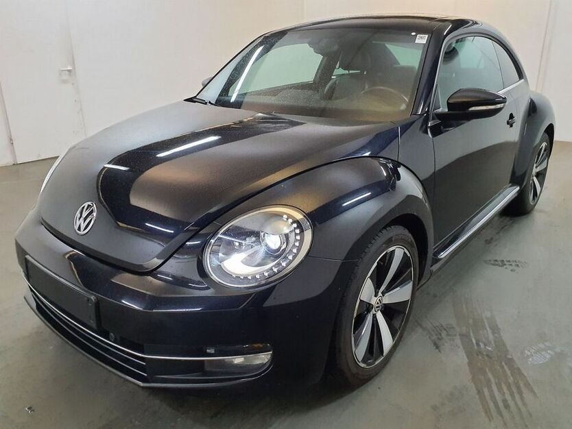 Beetle