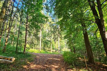 Grundstück in Ursberg 26.900 € 6975 m² zimmer