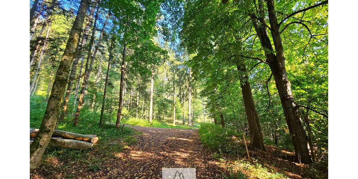 Grundstück in Ursberg 26.900 € 6975 m² zimmer