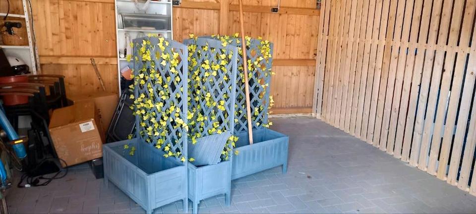 Erdgeschoßwohnung Friesoythe - 3 Zimmer, 82 m&sup2;, 730&euro; | Angebot:25991351