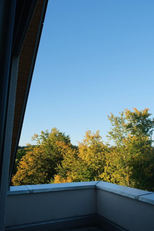 2,5-Zimmer-Galeriewohnung mit Dachterrasse B-24 zimmer