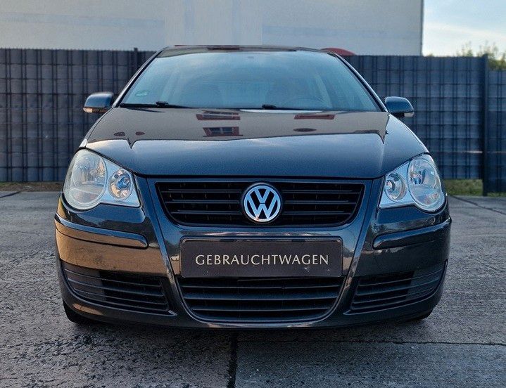 Polo