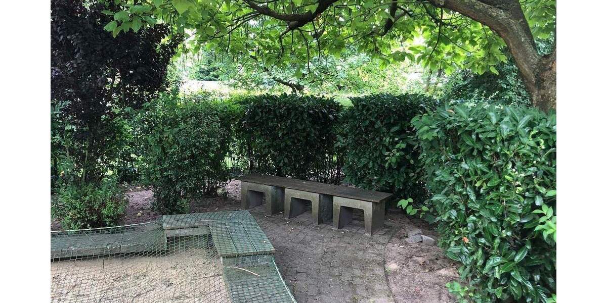 Schöne, zentrumsnahe 3-Zi.- Wohnung 3 zimmer