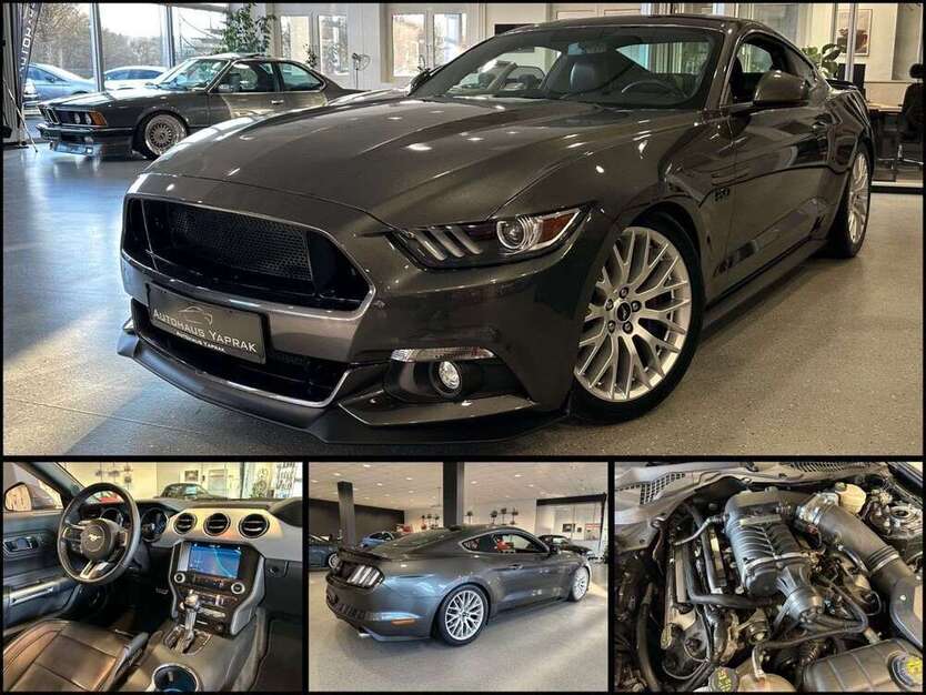 Mustang