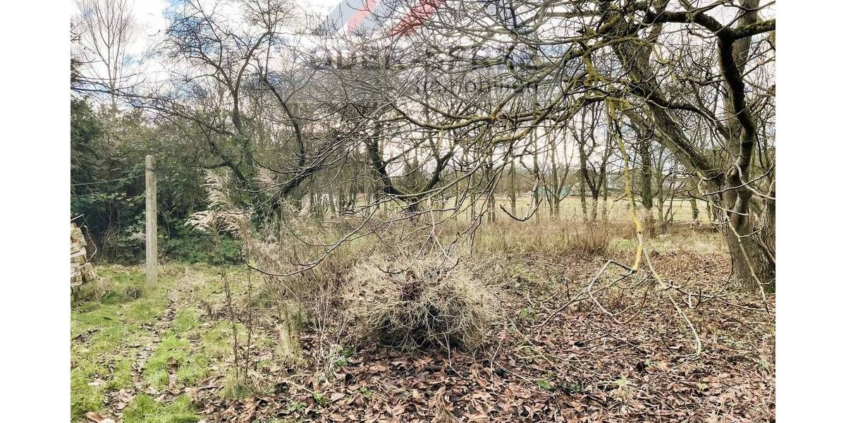 Einfamilienhaus Steinhöfel Heinersdorf - 8 Zimmer, 178 m&sup2;, 215.000&euro; | Angebot:19533596