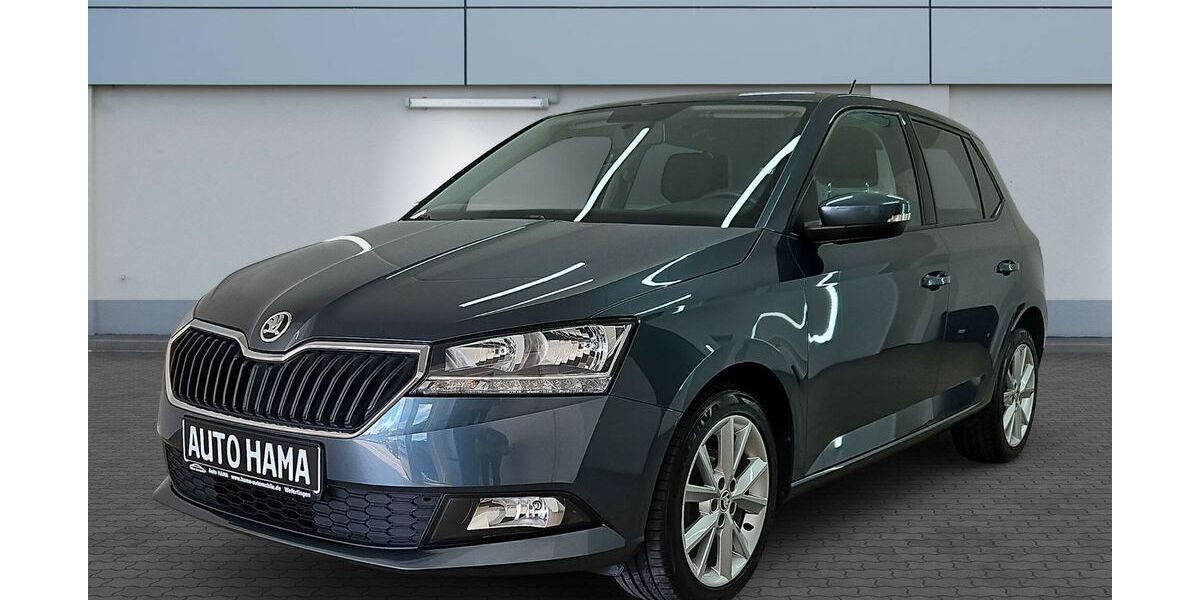 Skoda Fabia 88.667 km 12.990 &euro; Weferlingen 39356