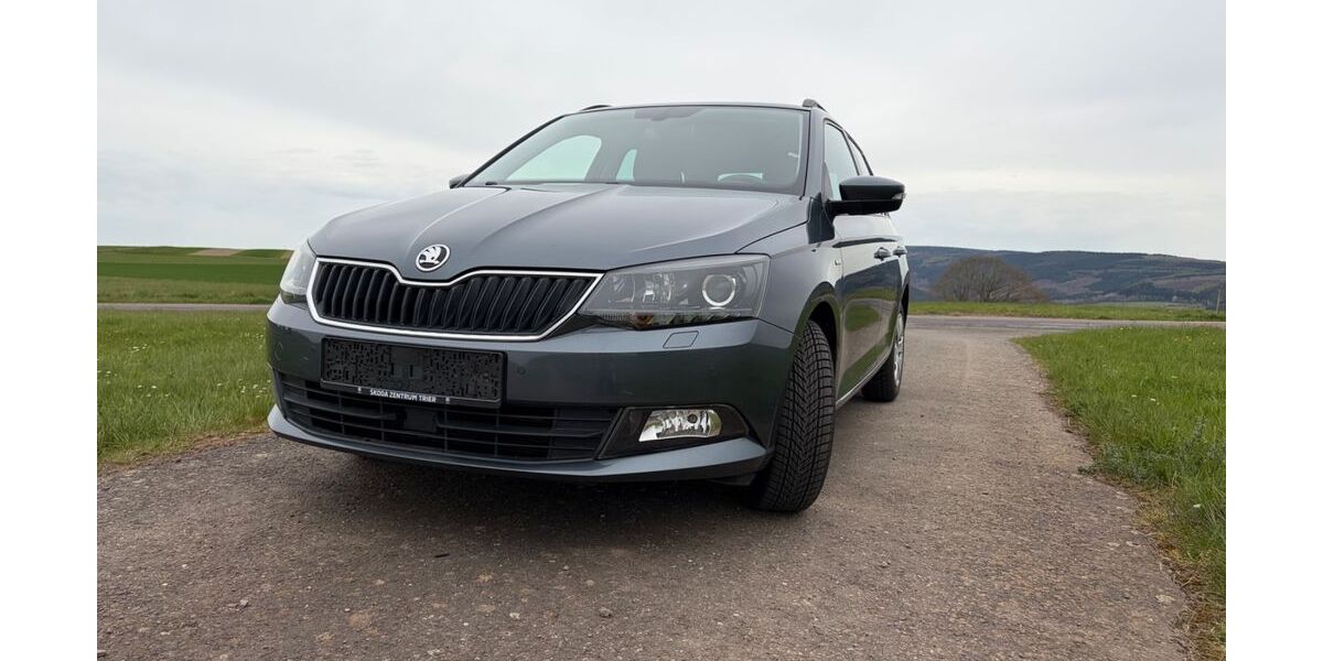 Skoda Fabia 86.200 km 10.000 &euro; Schöndorf 54316