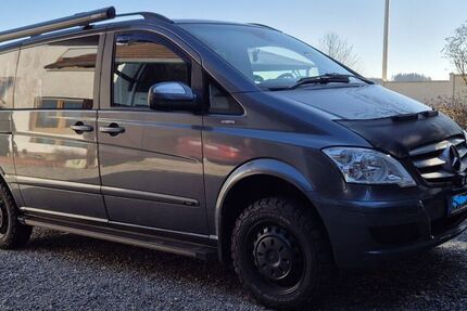 Mercedes Viano