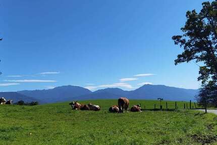 Haus zum Kaufen in Penzberg 2.600.000 € 215 m² 6 zimmer