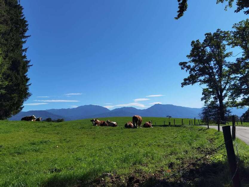 Haus zum Kaufen in Penzberg 2.600.000 € 215 m² 6 zimmer