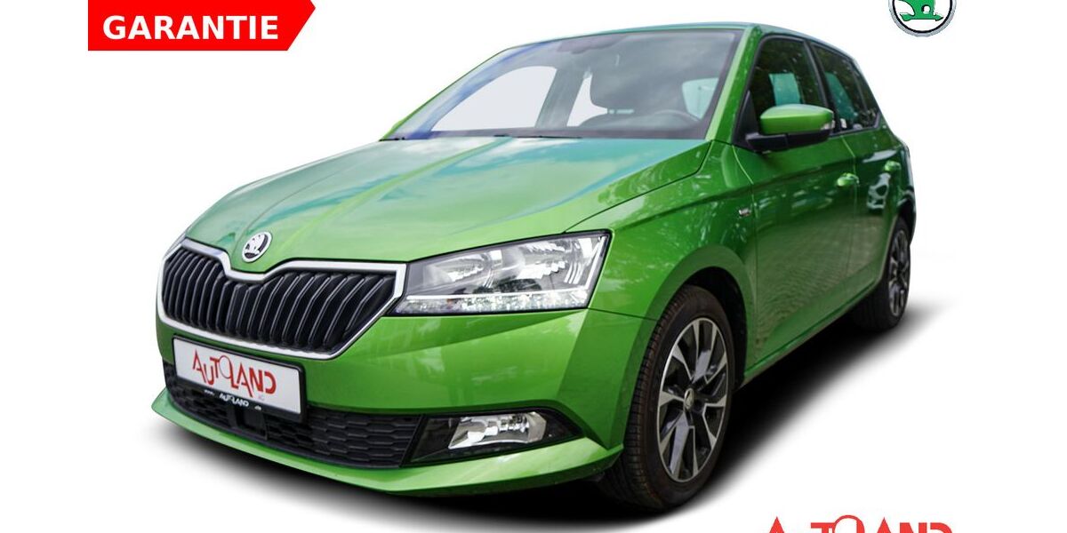 Skoda Fabia 54.195 km 13.950 &euro; Brehna 06796