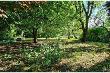 Grundstück Falkensee - 430.000&euro; | Angebot:25095637