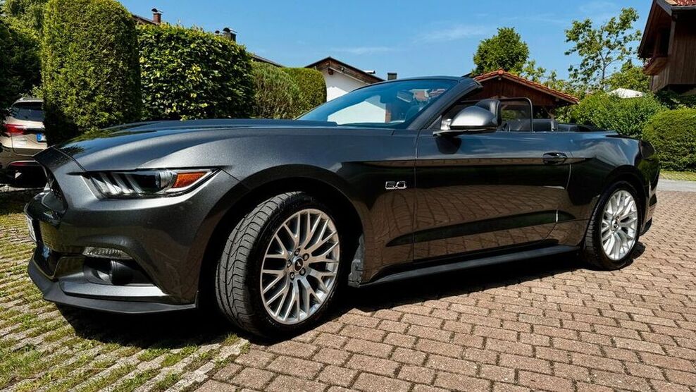 Mustang