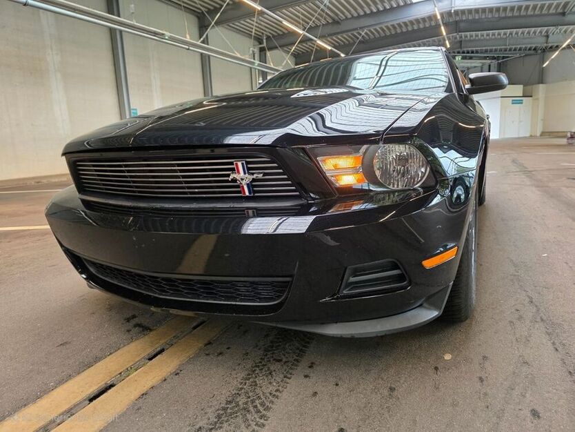 Mustang