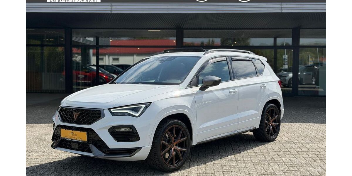 Cupra Ateca 55.000 km 26.980 &euro; Leer 26789