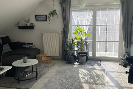 Wohnung Ludwigshafen am Rhein Edigheim - 2 Zimmer, 49 m&sup2;, 630&euro; | Angebot:25648852