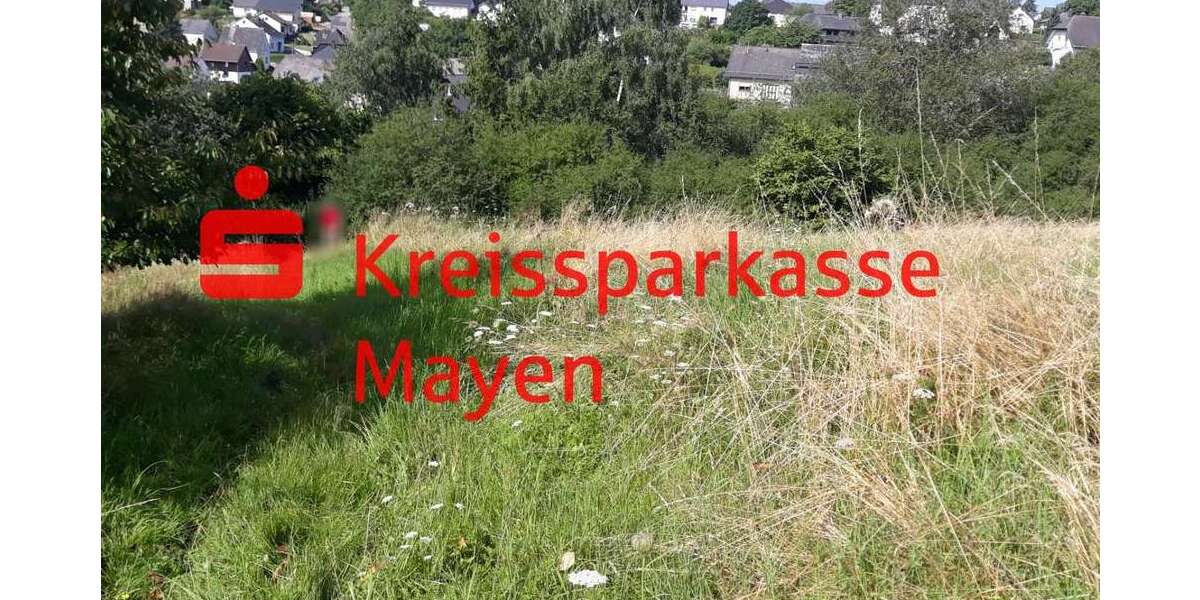 Grundstück Laubach - 79.000&euro; | Angebot:26909417