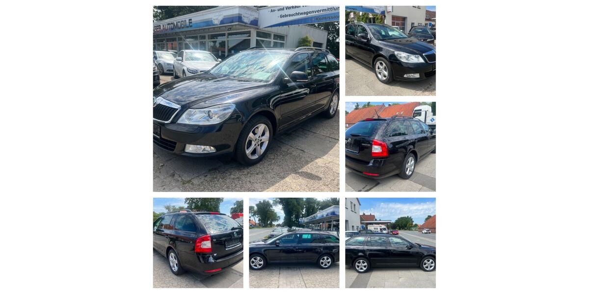 Skoda Octavia 294.989 km 3.999 &euro; Friedeburg 26446