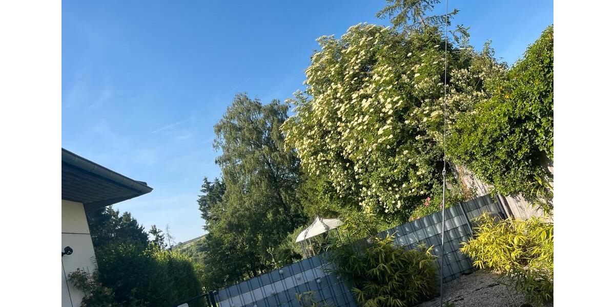 Einfamilienhaus Mandelbachtal - 4 Zimmer, 174 m&sup2;, 370.000&euro; | Angebot:26765085